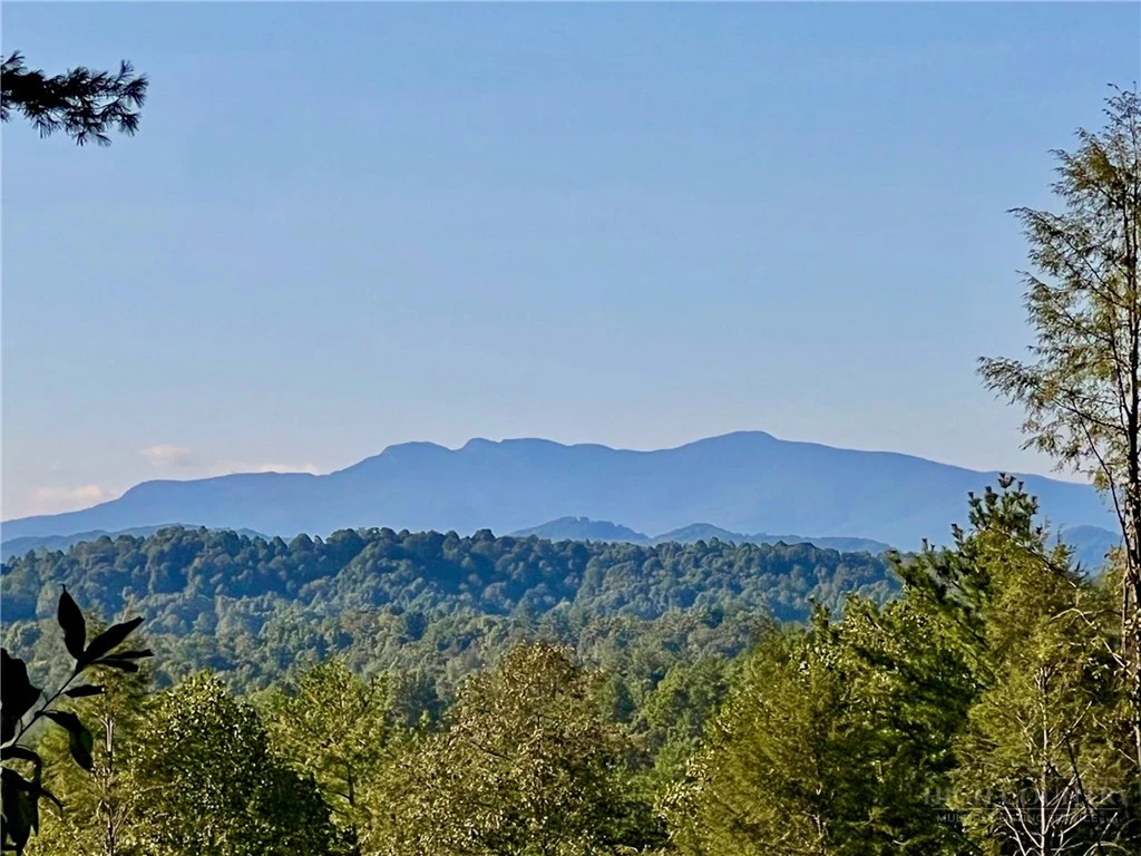 Image number 15 for the current listing