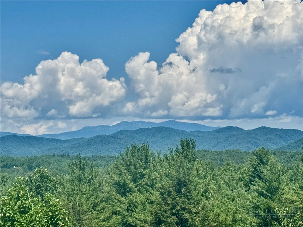 Image number 16 for the current listing