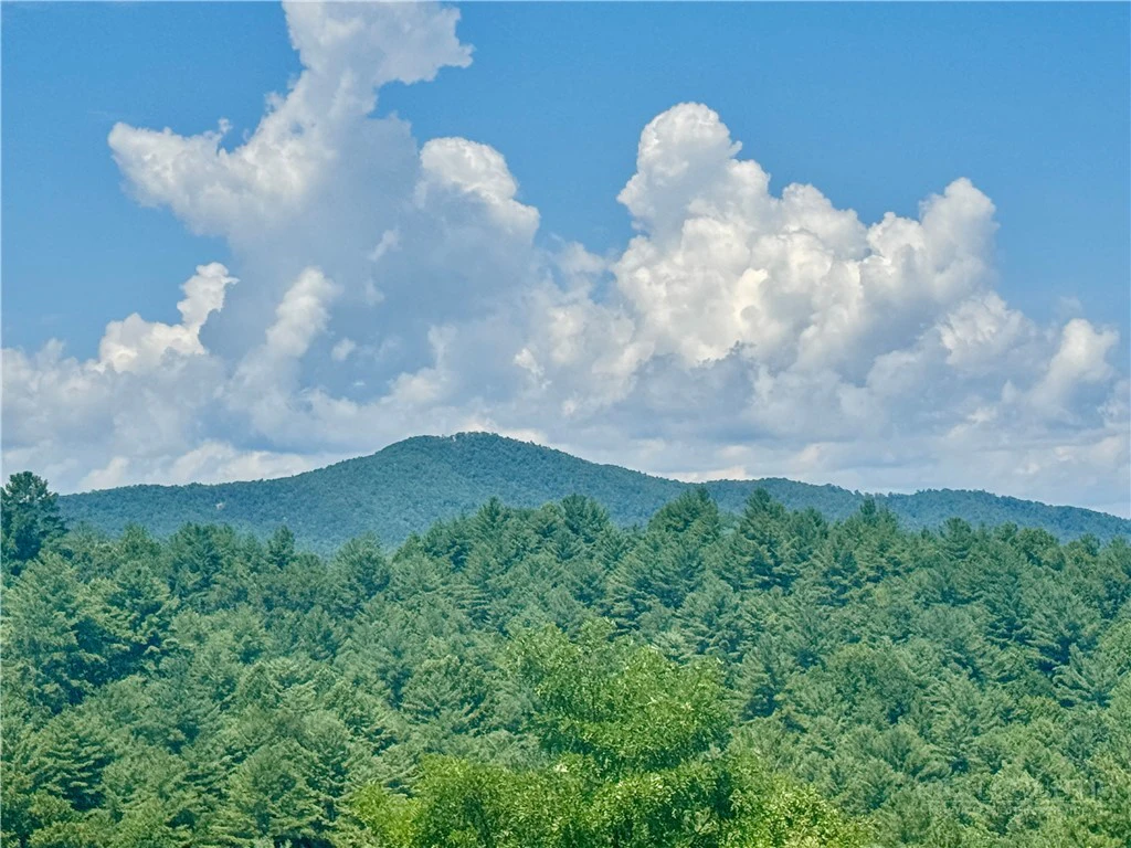 Image number 4 for the current listing