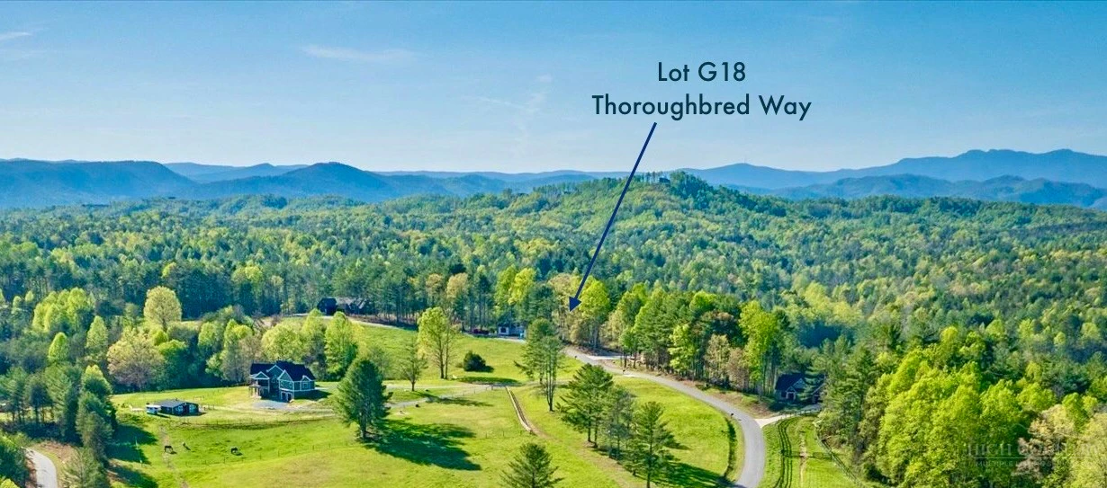 Image number 2 for the current listing