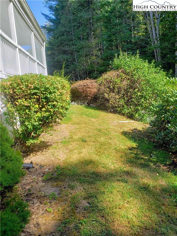 Image number 11 for the current listing