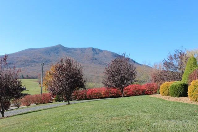 Image number 2 for the current listing