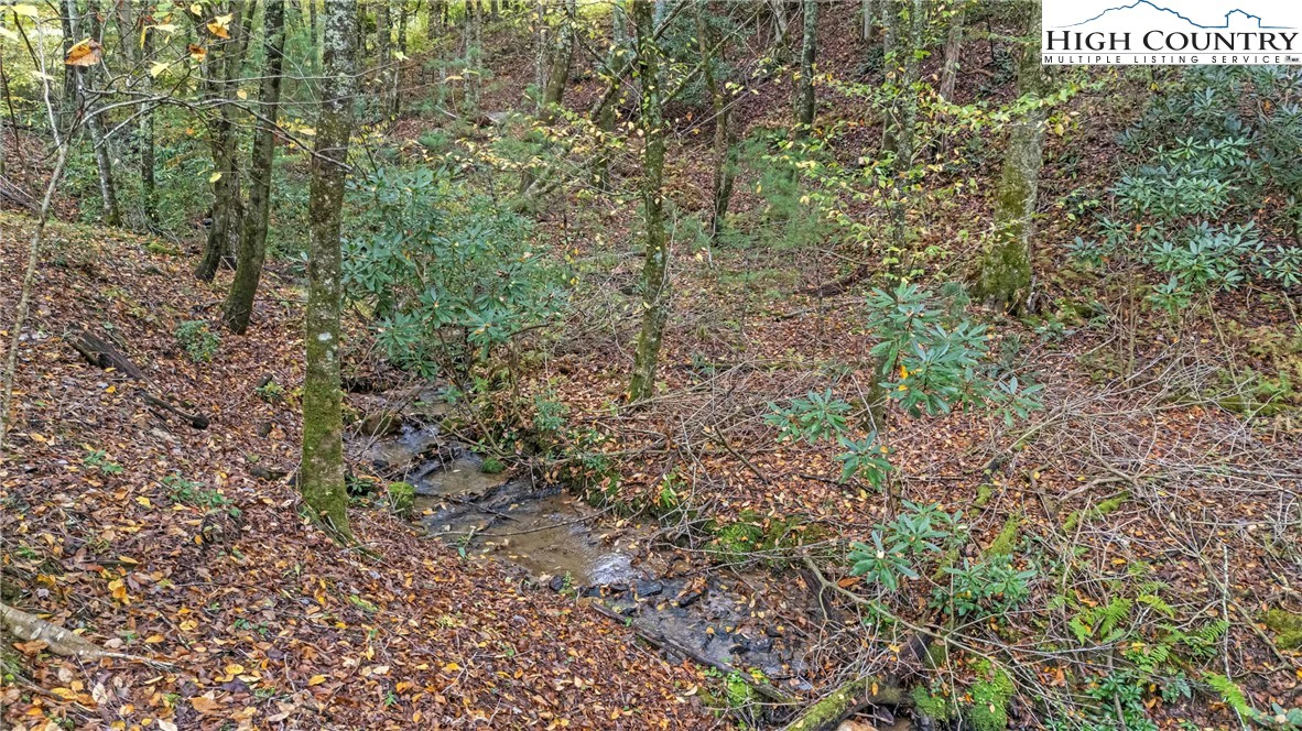 Image number 2 for the current listing