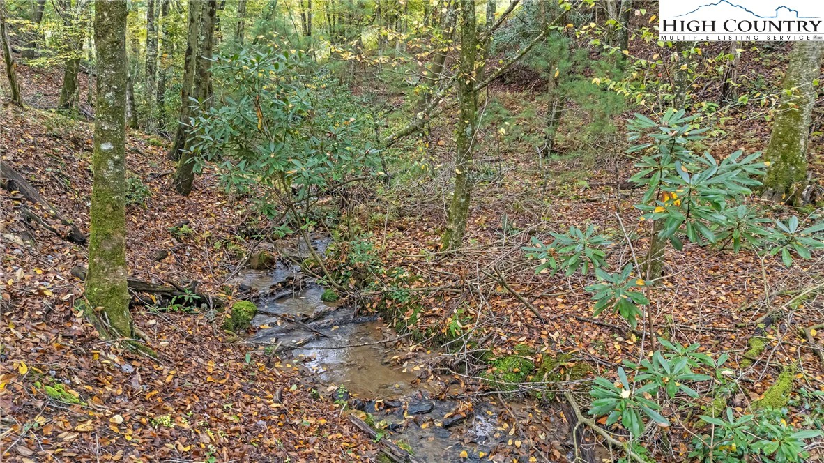 Image number 14 for the current listing