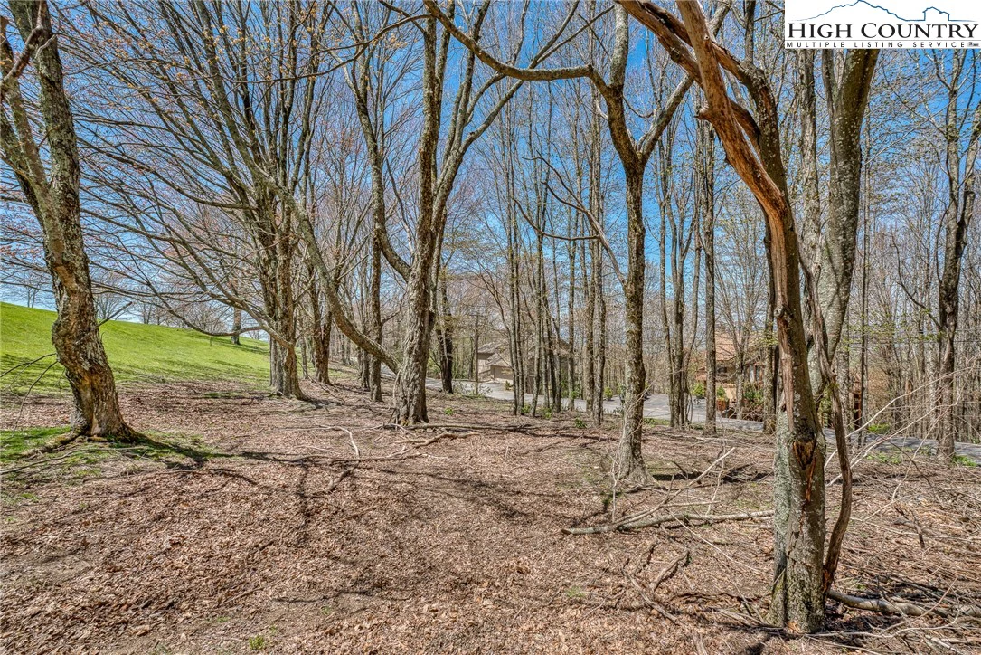 Image number 15 for the current listing