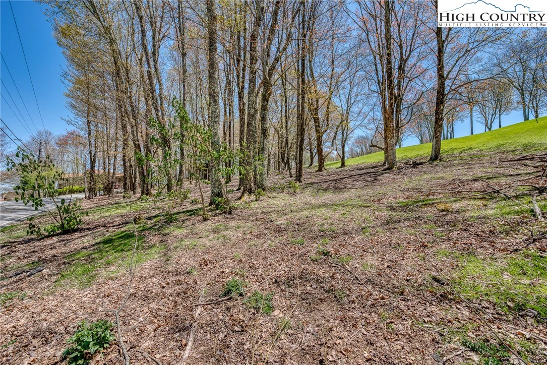 Image number 13 for the current listing