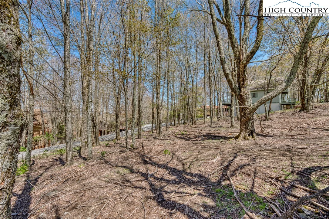 Image number 11 for the current listing
