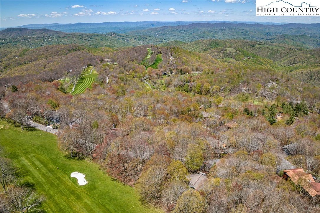 Image number 8 for the current listing
