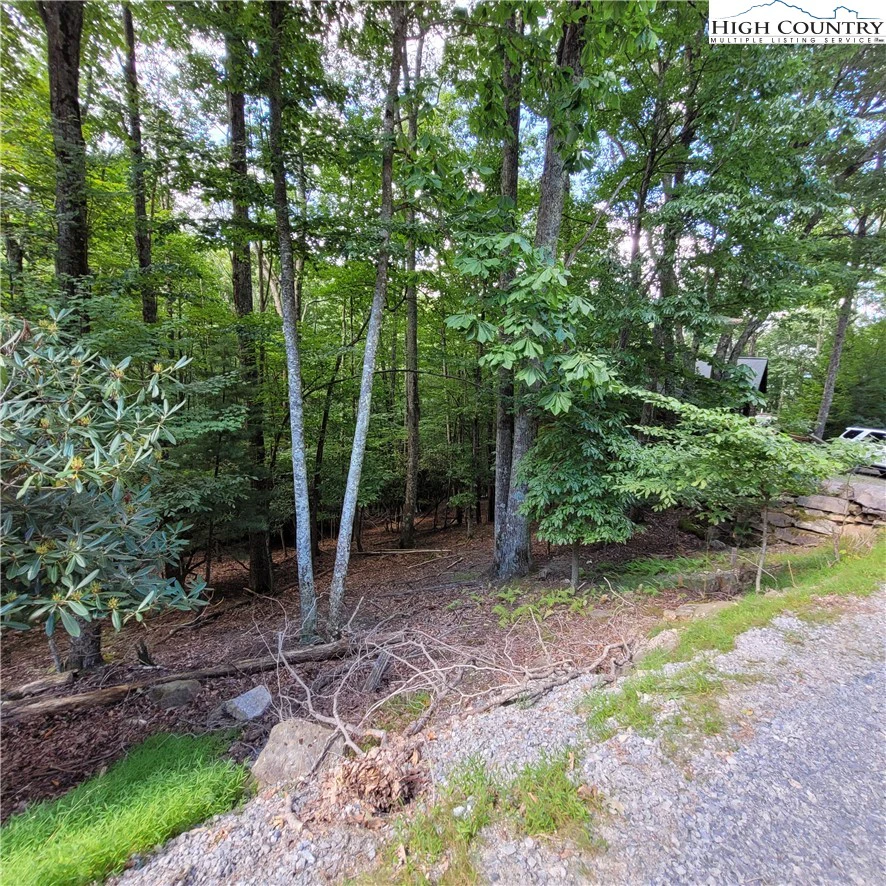 Image number 4 for the current listing