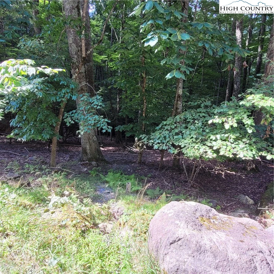 Image number 6 for the current listing