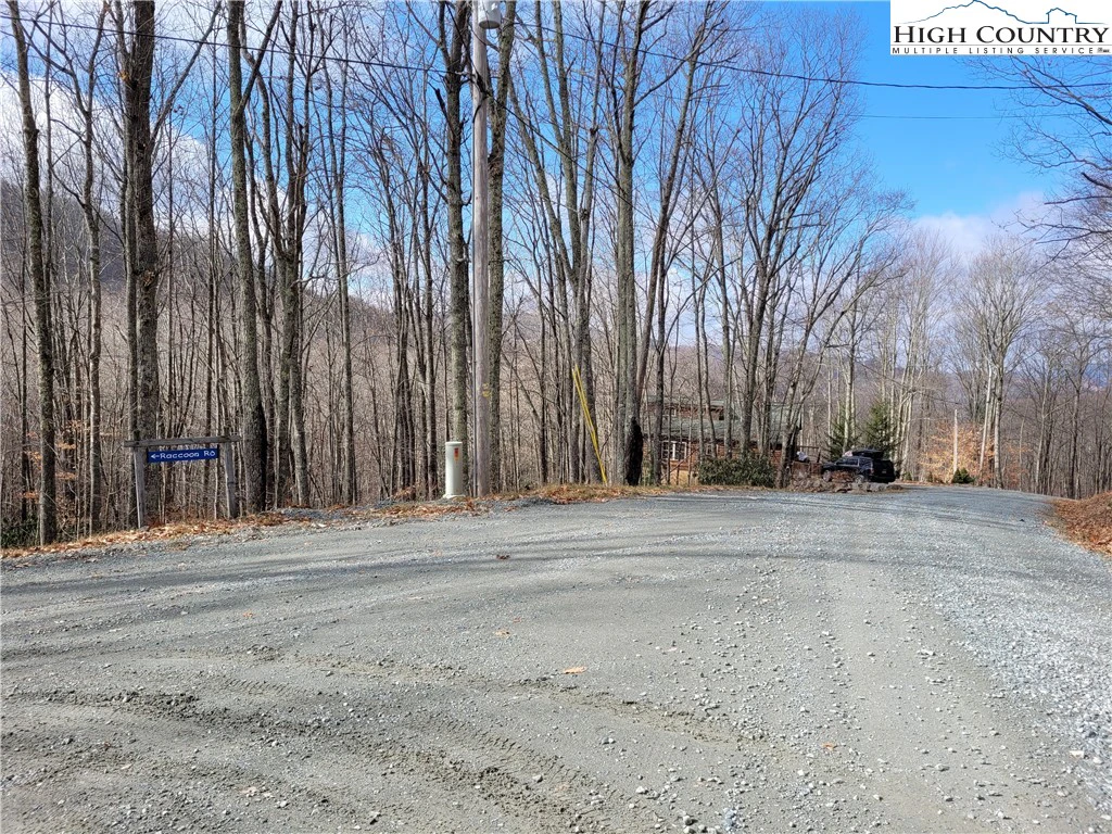Image number 8 for the current listing