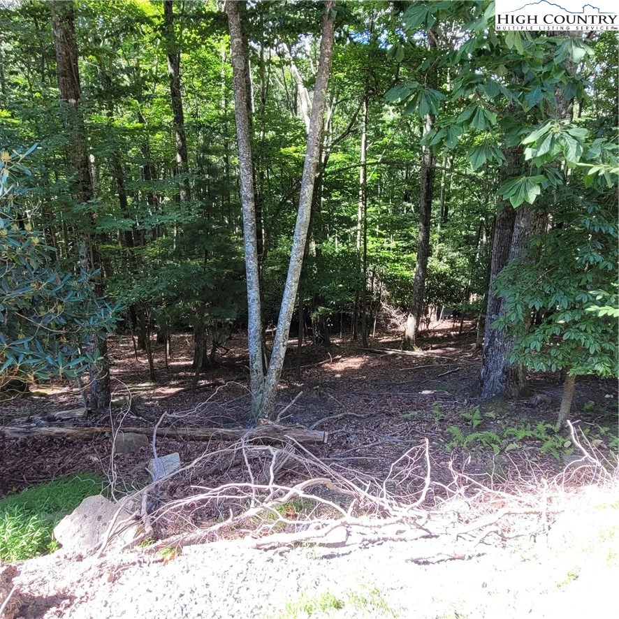 Image number 1 for the current listing