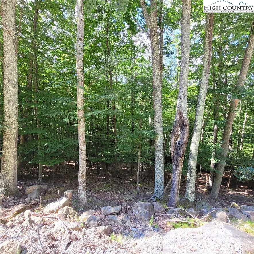 Image number 9 for the current listing