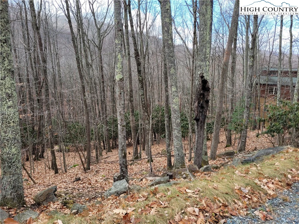 Image number 10 for the current listing
