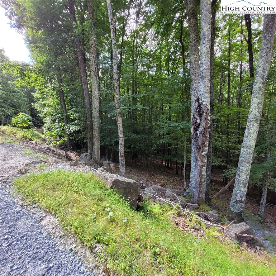 Image number 11 for the current listing