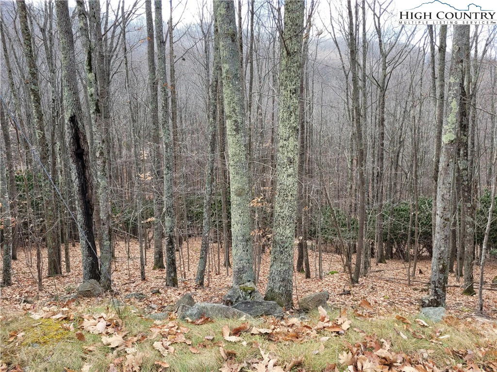 Image number 12 for the current listing