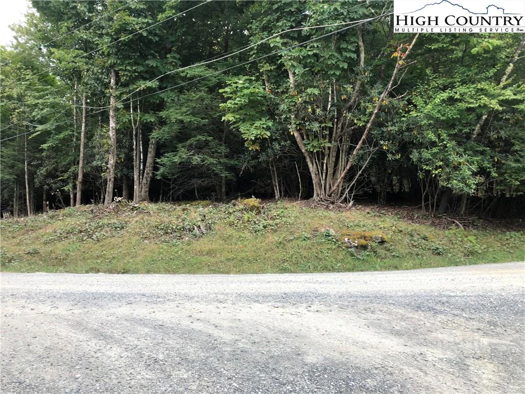 Image number 1 for the current listing