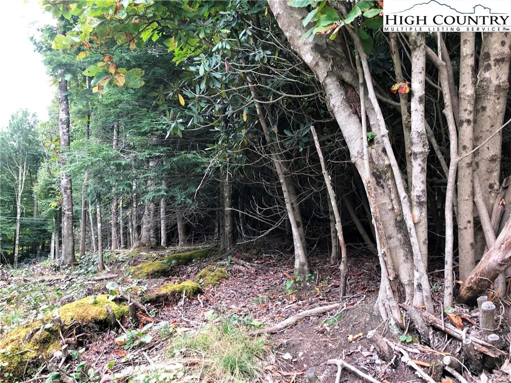 Image number 3 for the current listing