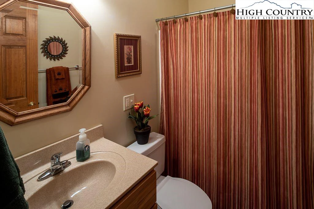 Image number 3 for the current listing