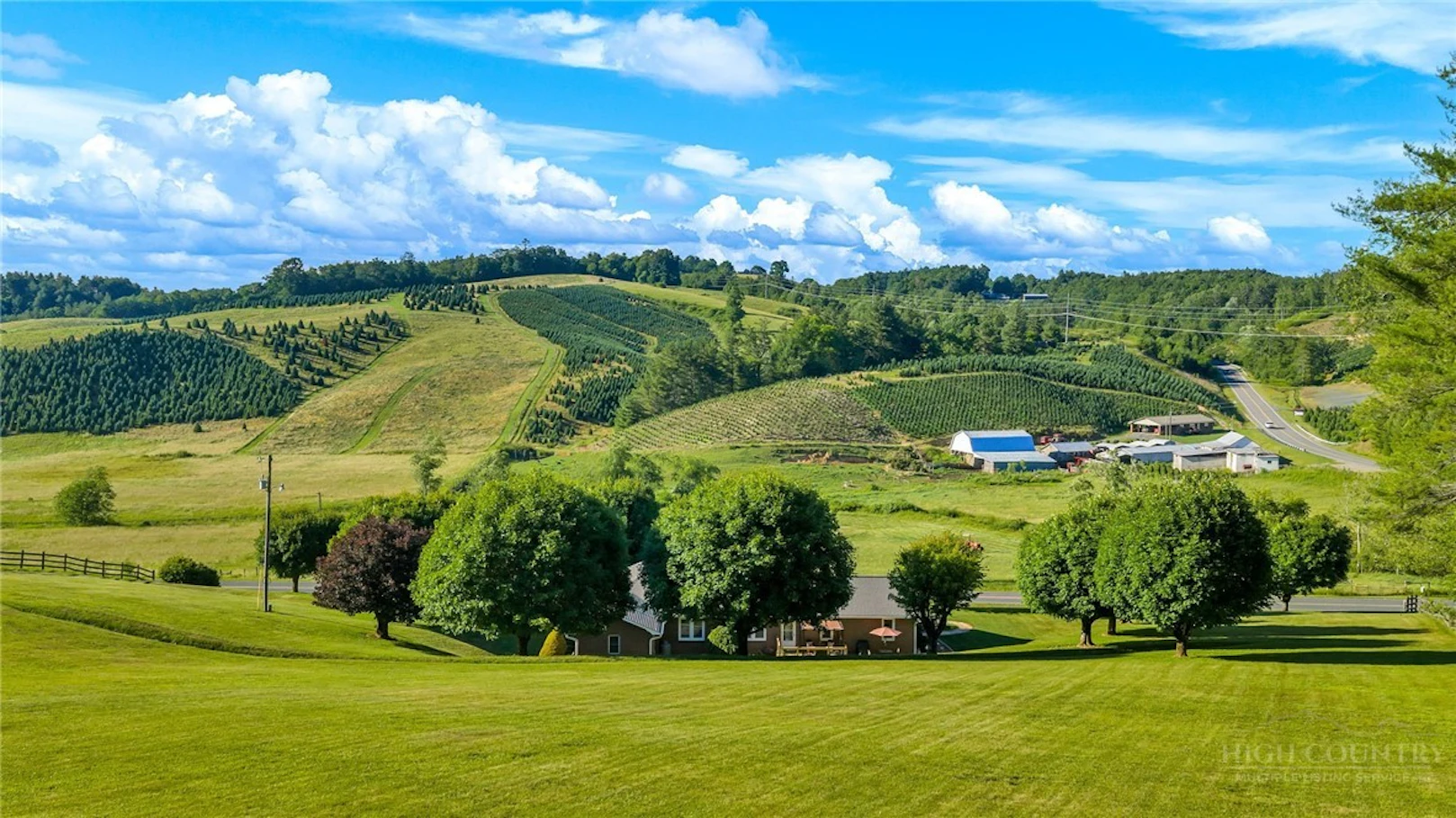 Image number 7 for the current listing