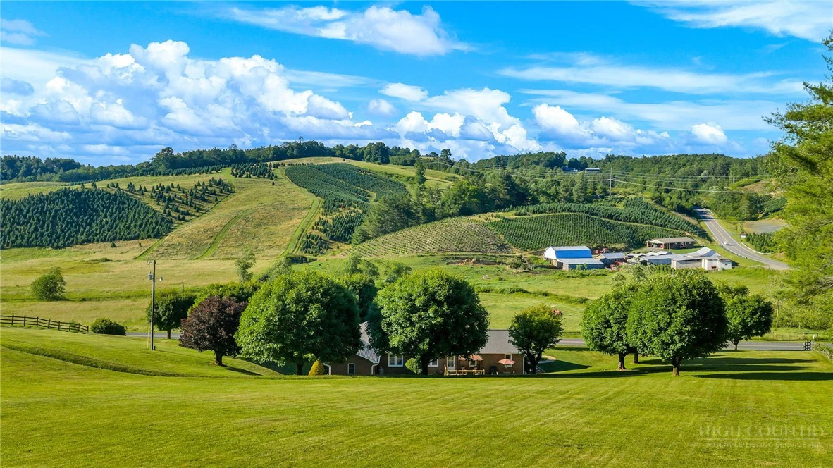 Image number 7 for the current listing