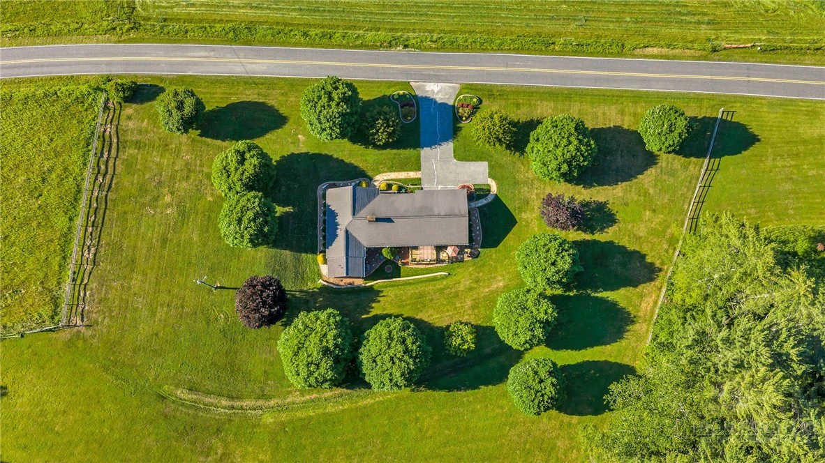 Image number 6 for the current listing
