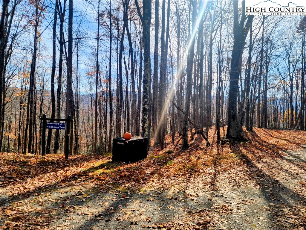 Image number 1 for the current listing
