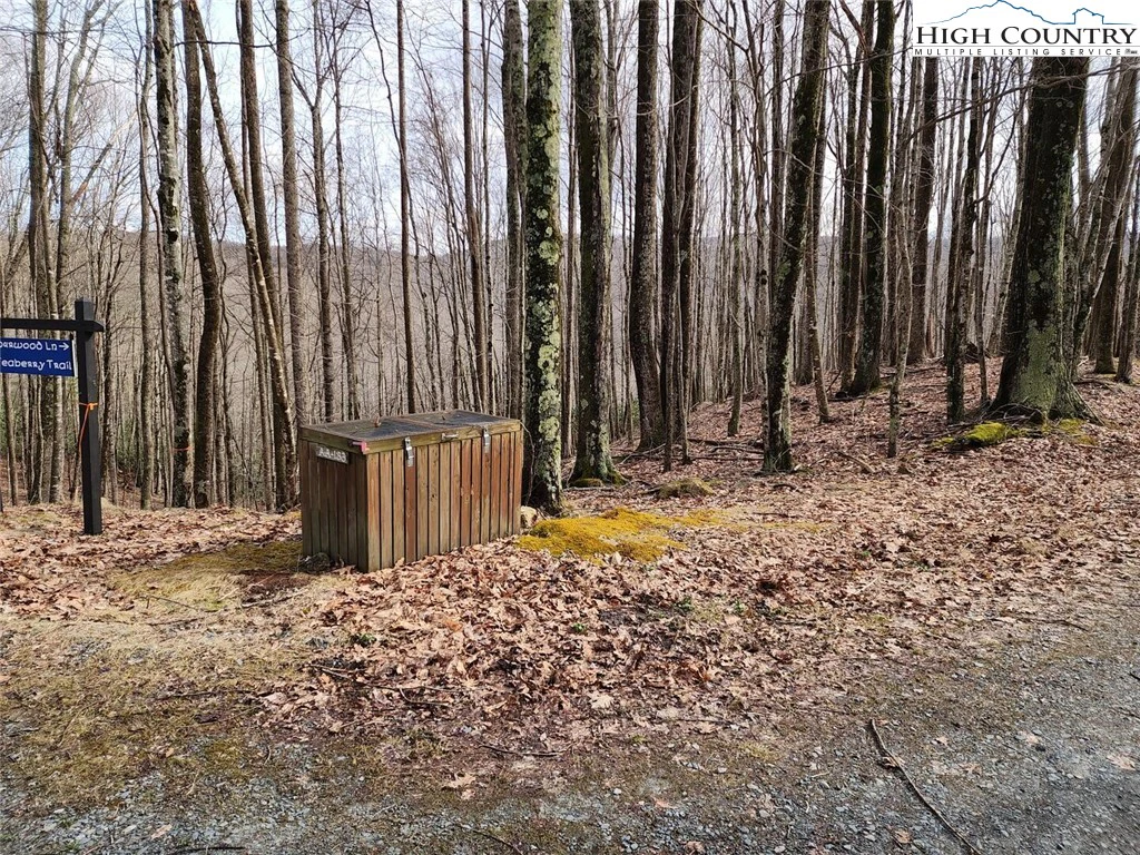Image number 3 for the current listing