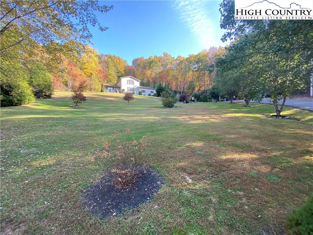 Image number 1 for the current listing
