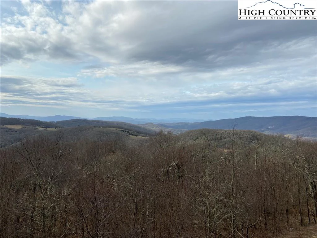 Image number 1 for the current listing