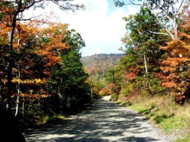 Image number 2 for the current listing
