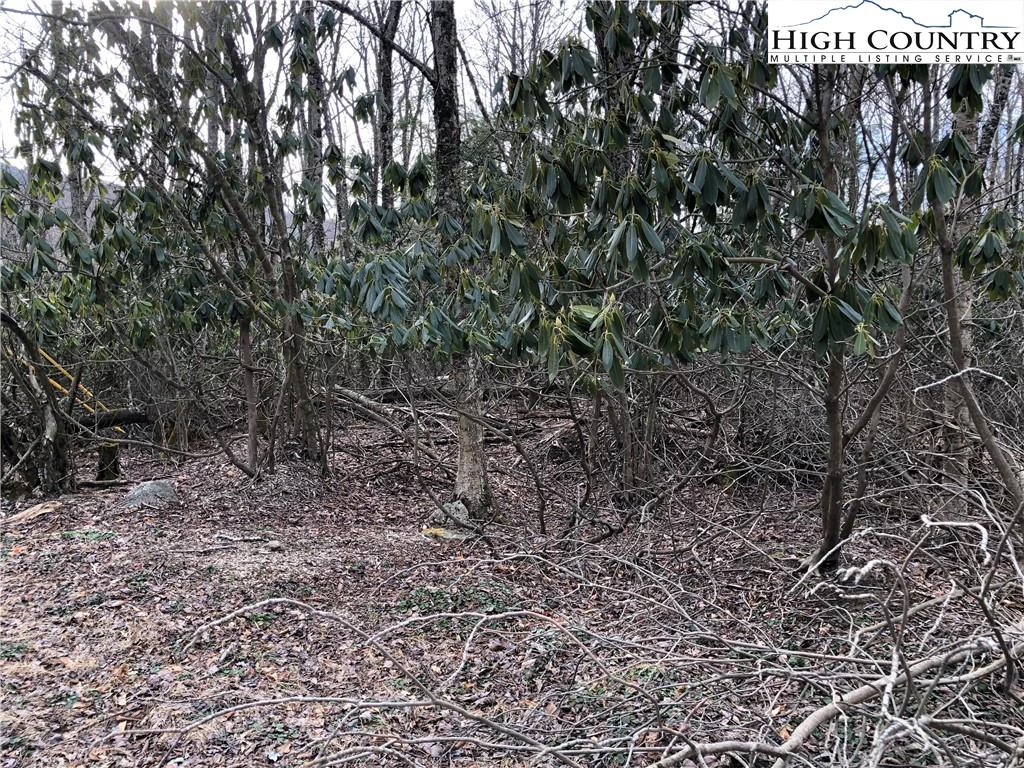 Image number 1 for the current listing