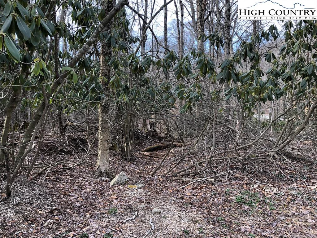 Image number 3 for the current listing
