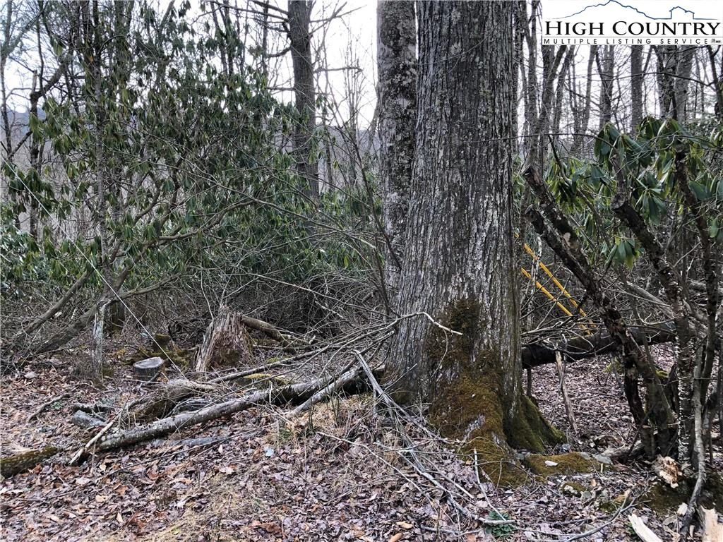Image number 4 for the current listing