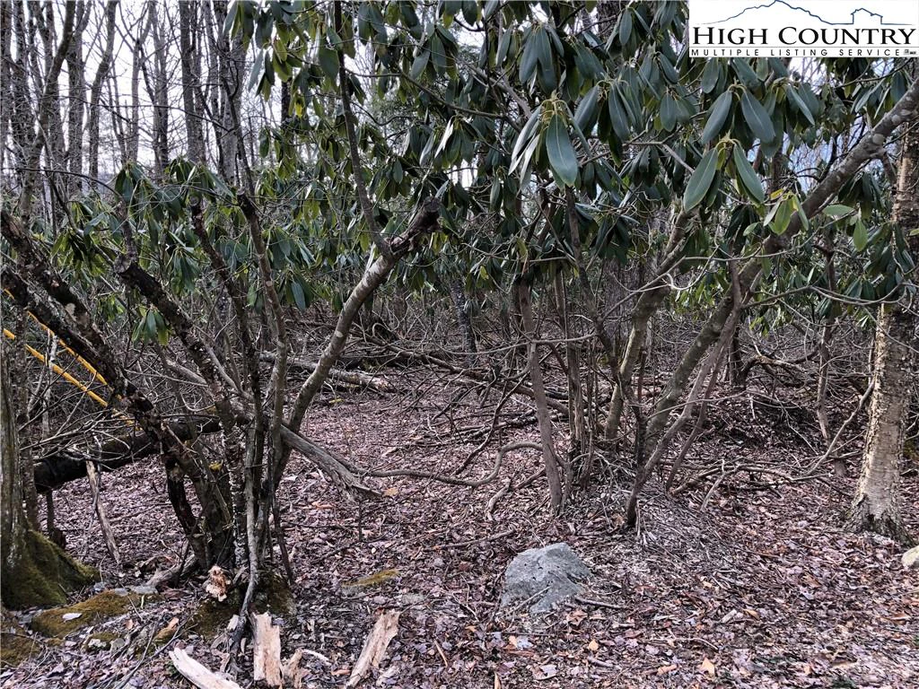 Image number 5 for the current listing