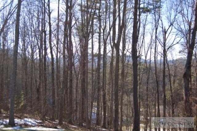 Image number 11 for the current listing