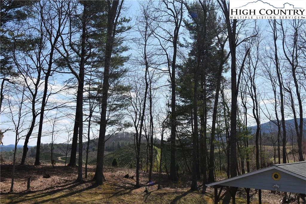 Image number 4 for the current listing