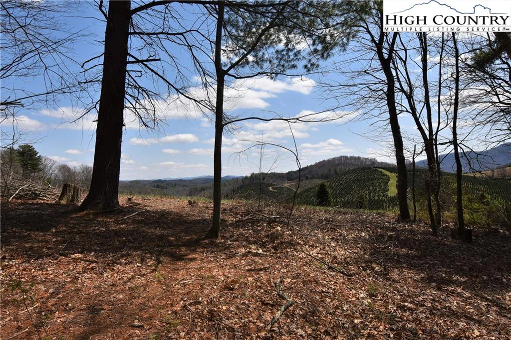 Image number 2 for the current listing