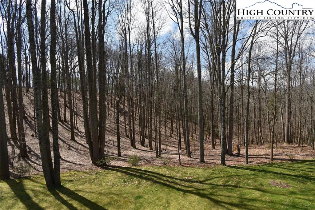 Image number 16 for the current listing