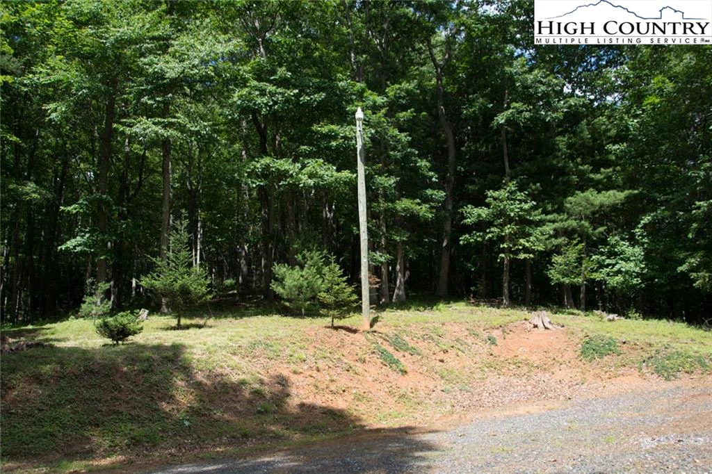 Image number 5 for the current listing