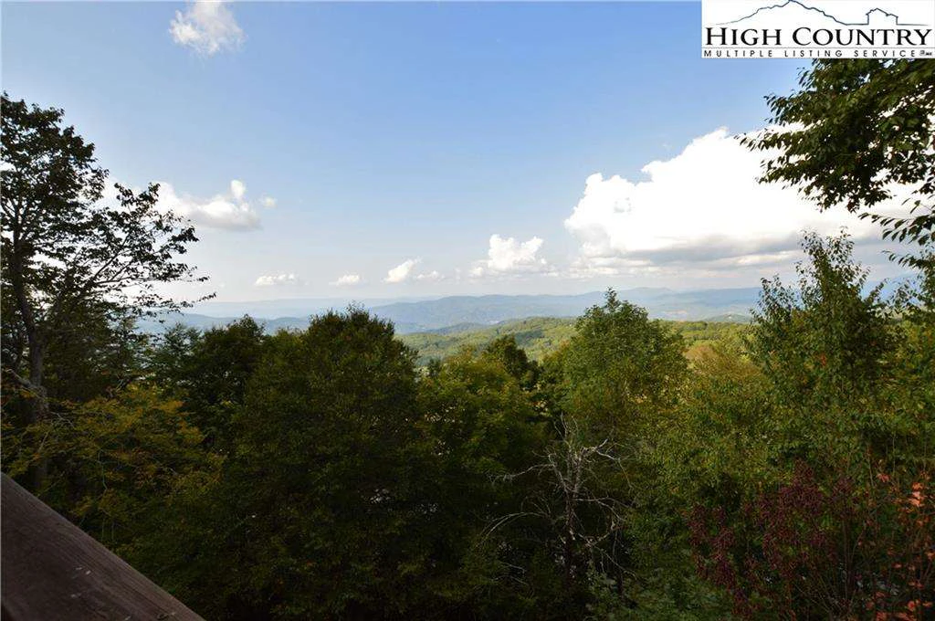 Image number 1 for the current listing