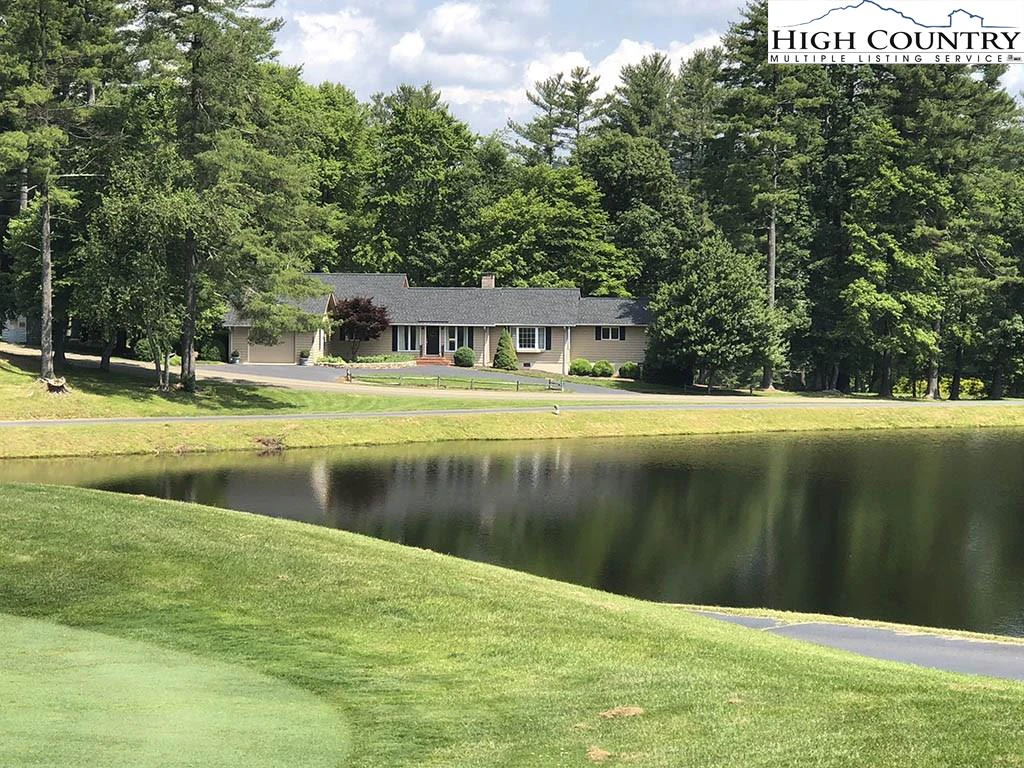 Image number 1 for the current listing