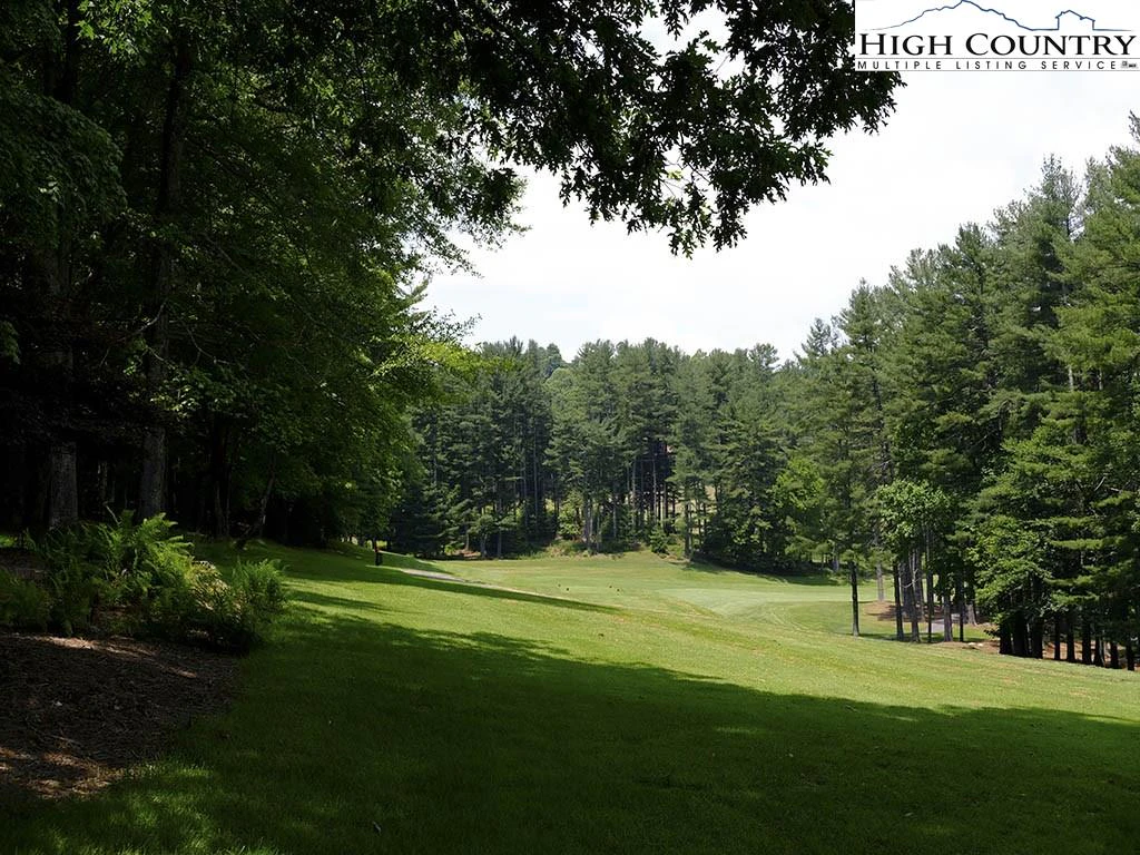 Image number 4 for the current listing