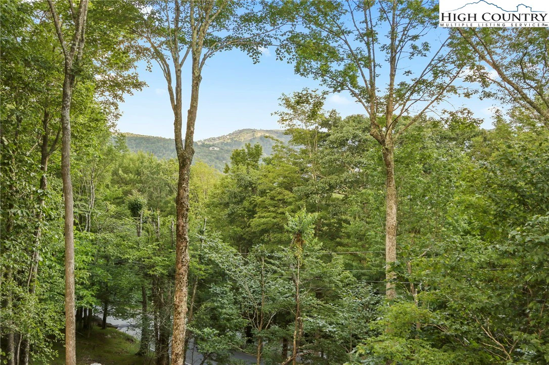 Image number 7 for the current listing