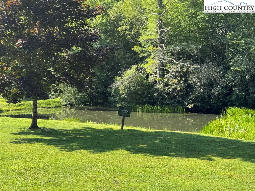 Image number 12 for the current listing