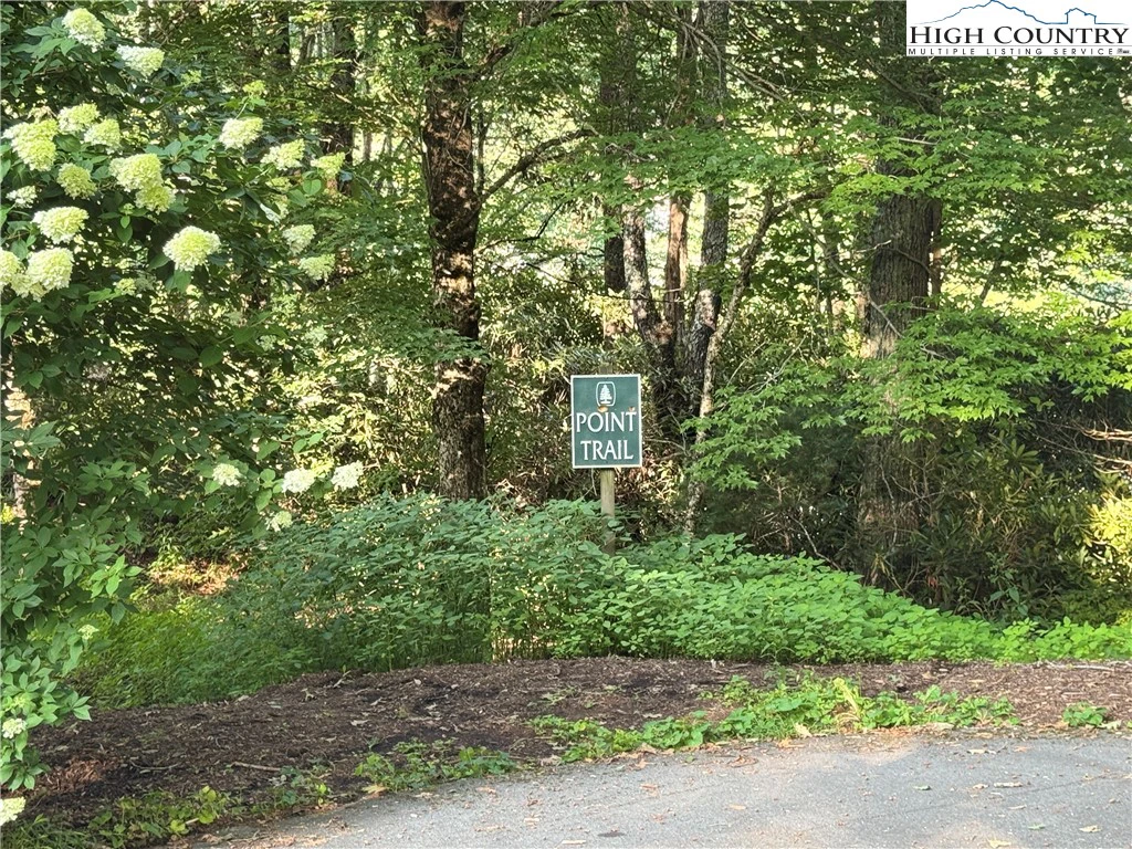 Image number 2 for the current listing