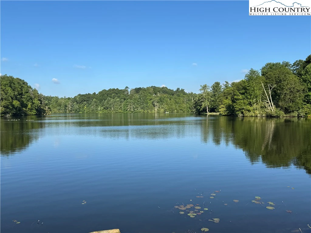 Image number 13 for the current listing