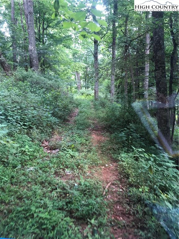 Image number 2 for the current listing