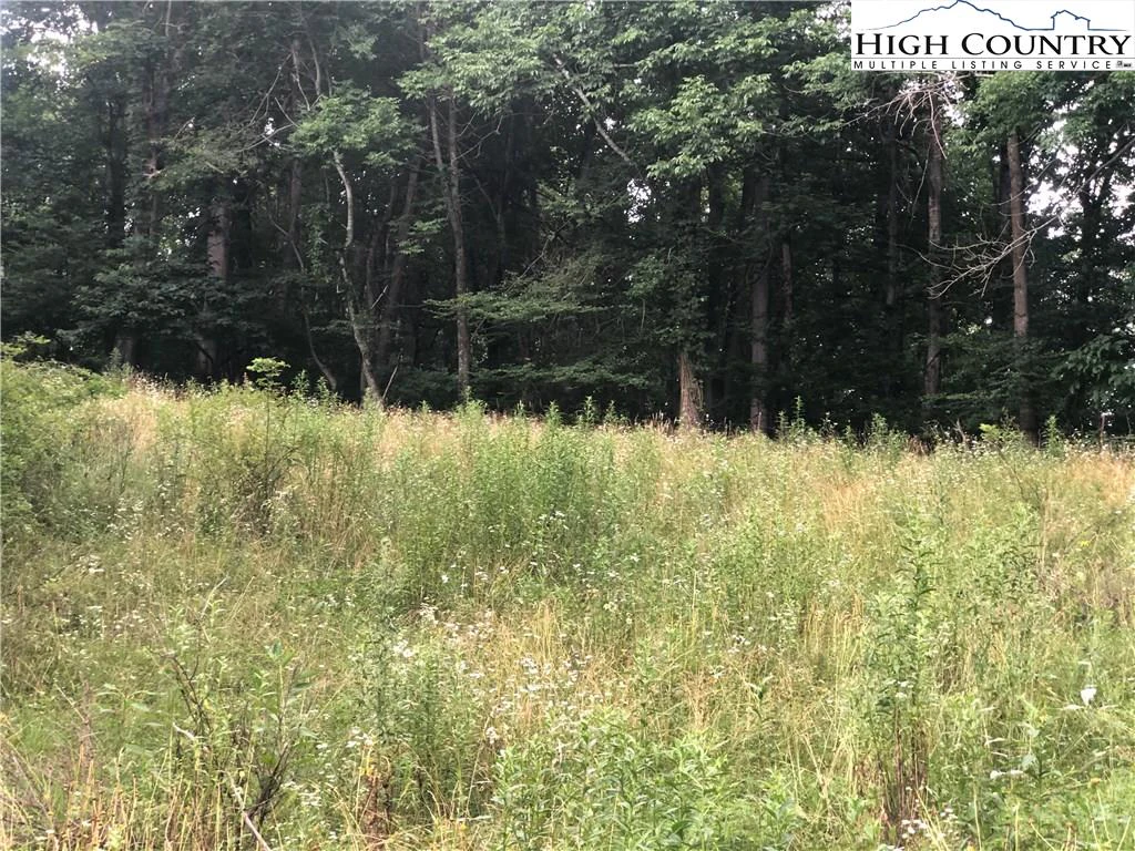 Image number 10 for the current listing