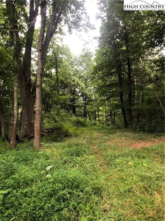 Image number 9 for the current listing